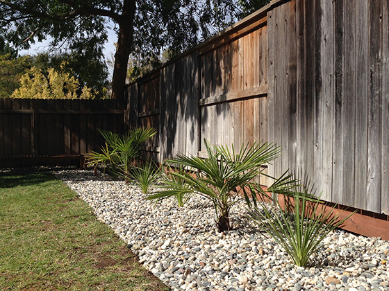 patio-rock-border