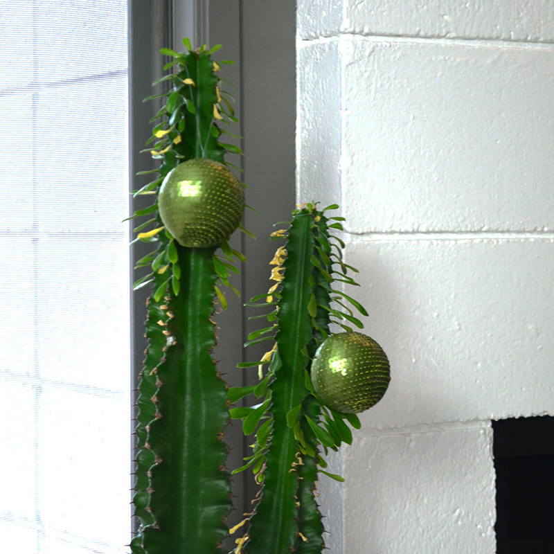 eichler-christmas-3-cactus-close