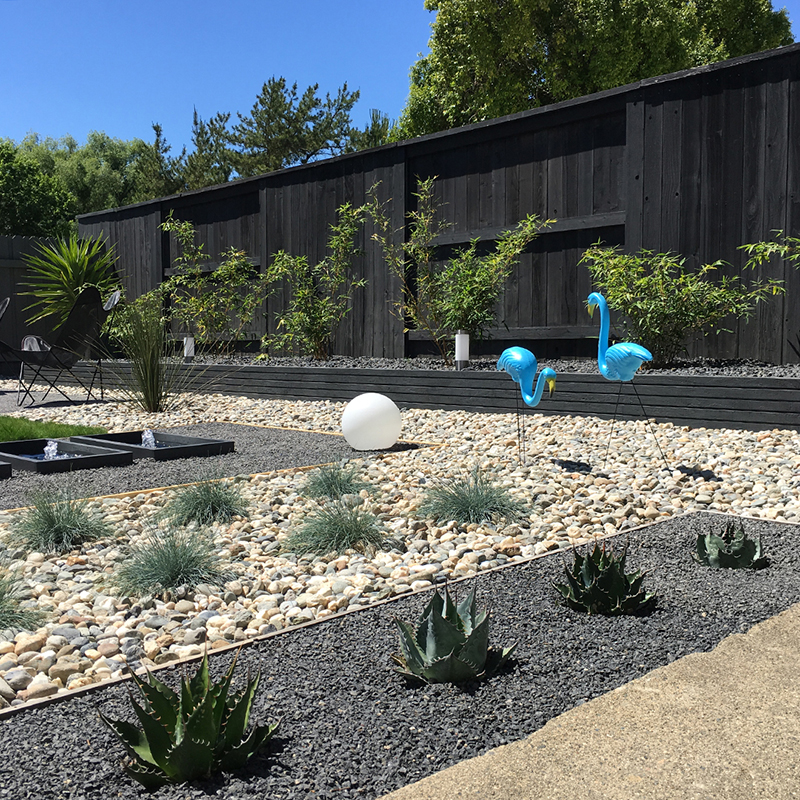 plants-mountain-agave-fescue