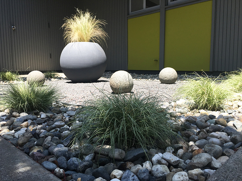 courtyard-grasses