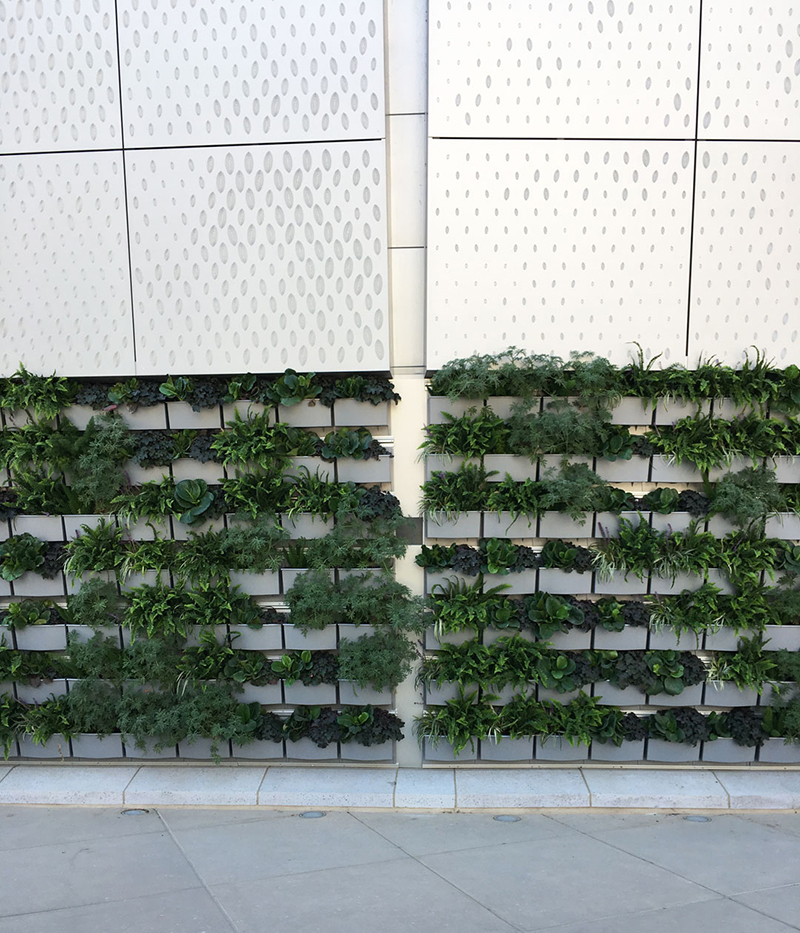 kings-arena-living-wall