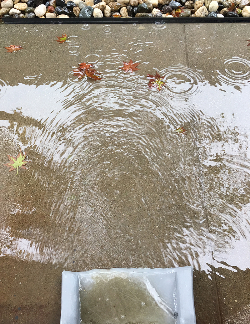 rainy-sunday-splash-block