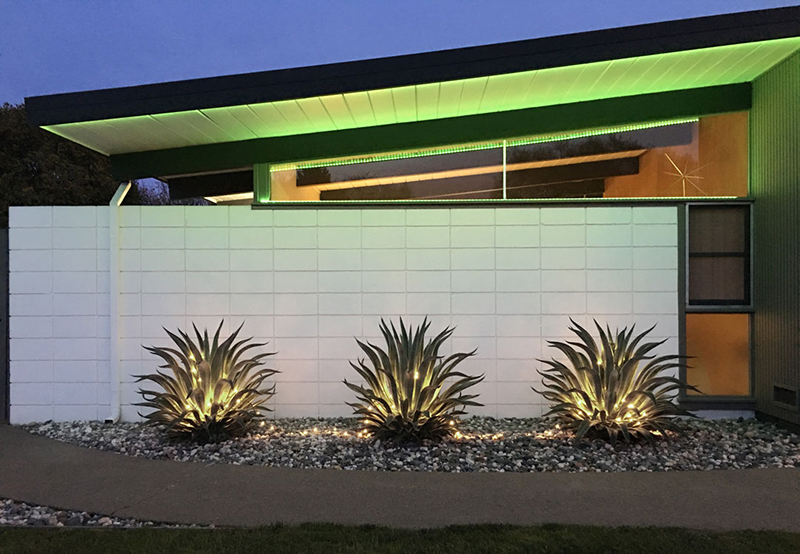 eichler-sparkle-agaves