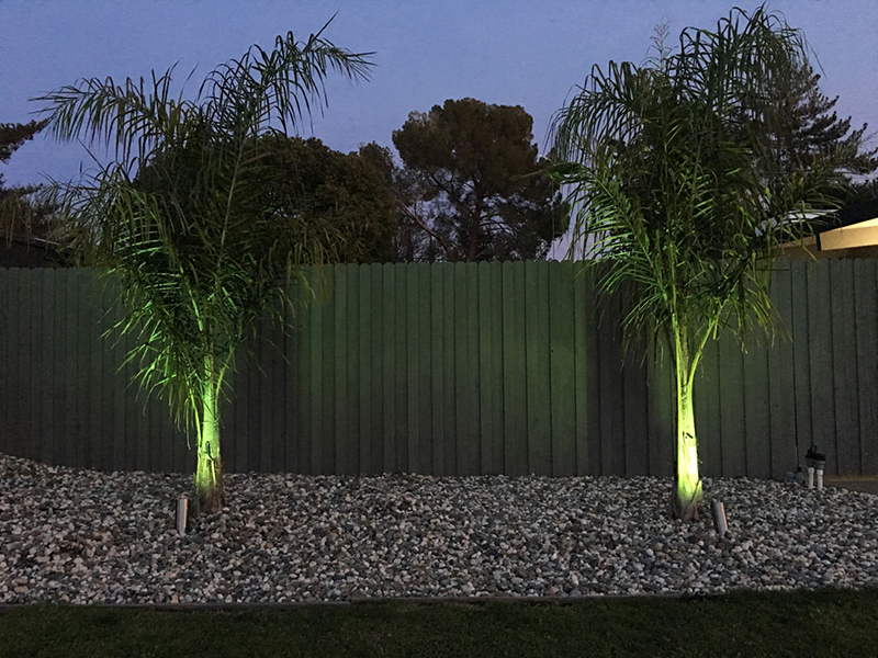 eichler-sparkle-palm-trees